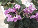 DSCF5795