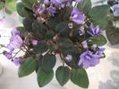 DSCF5837
