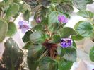 DSCF5874