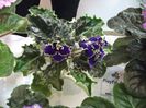 DSCF5881