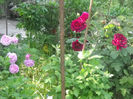 Picture 3042