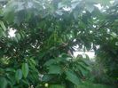 DSC_0511[1]