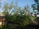 DSC_0495[1]