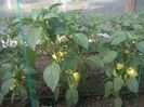 photo0254