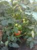 photo0260