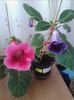 IMG_20140522_164026