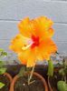 IMG_20140525_100725