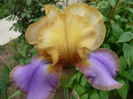 P1060338