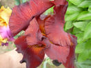 P1060346