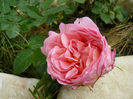 Abraham Darby