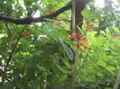 SAM_3012