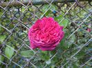 DSC02330