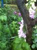 DSC02343