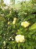 DSC02359