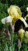 DSC01160