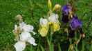 DSC01190