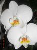 DSCN5156