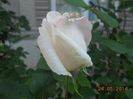 DSCN5158