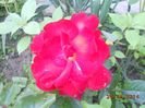 DSCN5159