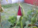 DSCN5162