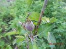 DSCN5176