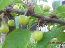 DSCN5179
