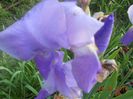 DSCN5186