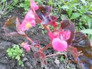 DSCN5187