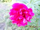 DSCN5191