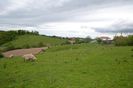DSC_0016 - Copy