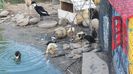 20140525_184030
