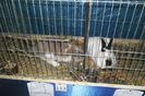 SAM_1533