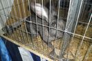 SAM_1540