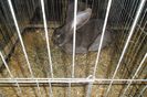 SAM_1543