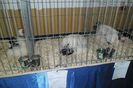 SAM_1565