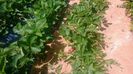 WP_20140524_002
