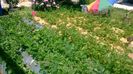 WP_20140524_003