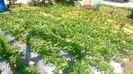 WP_20140524_004