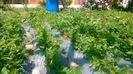 WP_20140524_005