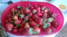 WP_20140524_009