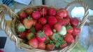 WP_20140524_010