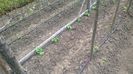 WP_20140524_015