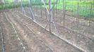 WP_20140524_017