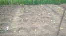 WP_20140524_019