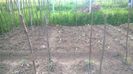 WP_20140524_020