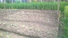 WP_20140524_022