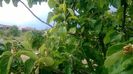 WP_20140524_028