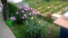 WP_20140524_030