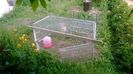 WP_20140524_032
