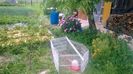 WP_20140524_033